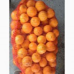 Апельсины Абхазия от 28 руб