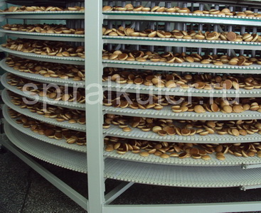 Фото 3. Охлаждение хлеба и кондитерки с помощью спирального кулера ORION