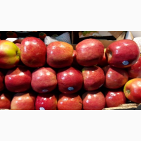 Продажа летних сортов яблок со склада