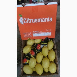 Лимоны от производителя, Турция, Adana