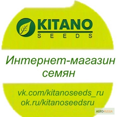 Семена Купить Интернет Магазин Россия