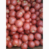 Продам помидоры, сорт красный и розовый