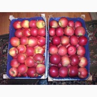 Яблоки Молдавские в России