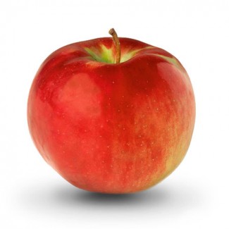 Яблоко садовое Кортланд, зимний сорт