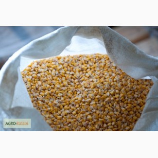 Продам зерно кукурузное фасованное. продовольственное Производитель