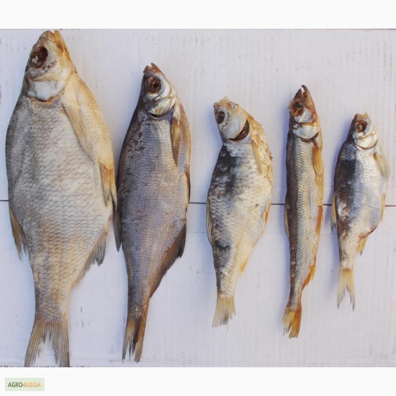 Фото 2. Рыба вяленая, рыба сушеная, сушёные морепродукты, мясо, весовые снеки, закуски к пиву
