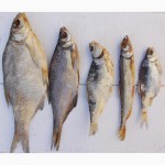 Рыба вяленая, рыба сушеная, сушёные морепродукты, мясо, весовые снеки, закуски к пиву