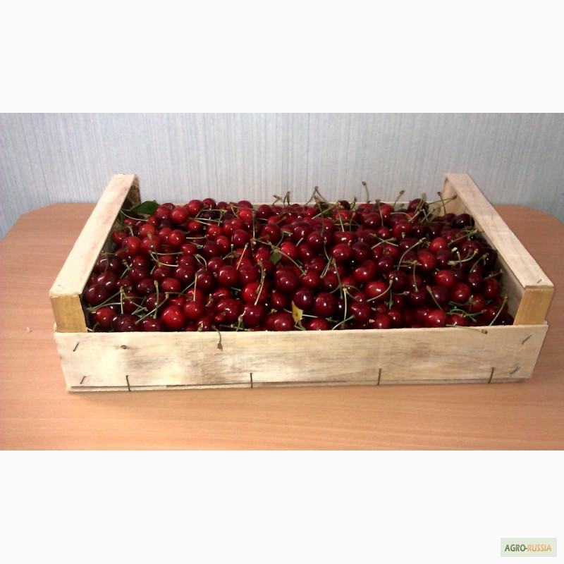 Фото 3. Евро-тара из шпона для упаковки черешни, персика, клубники, яблок.Крым