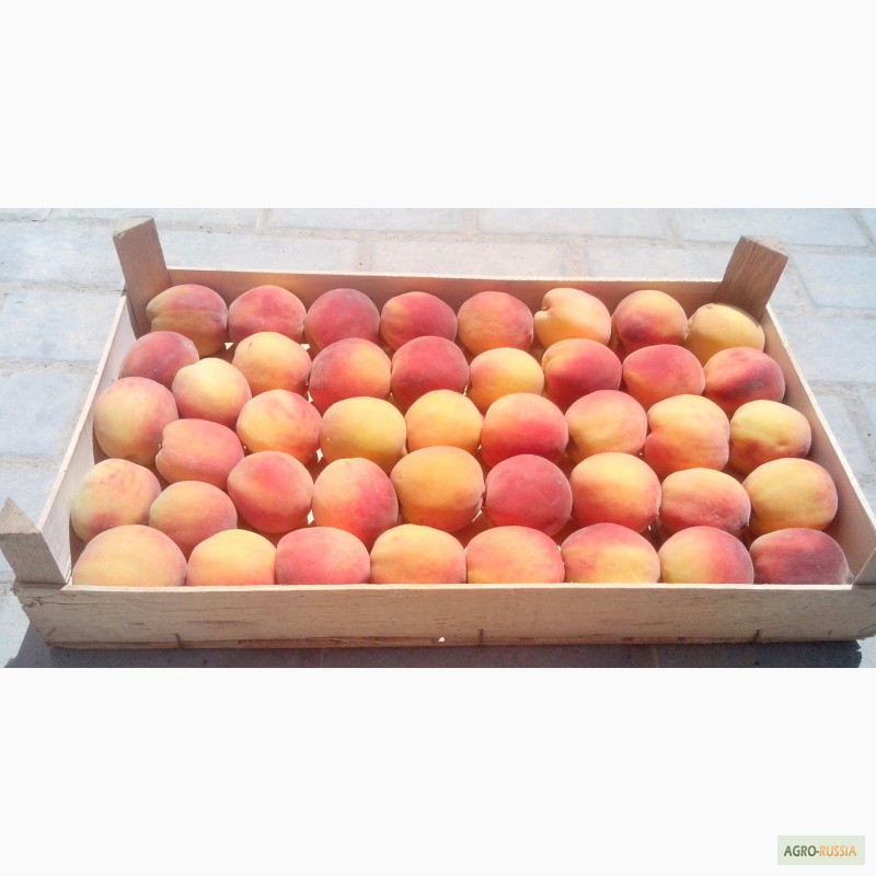 Фото 4. Евро-тара из шпона для упаковки черешни, персика, клубники, яблок.Крым