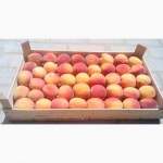 Евро-тара из шпона для упаковки черешни, персика, клубники, яблок.Крым