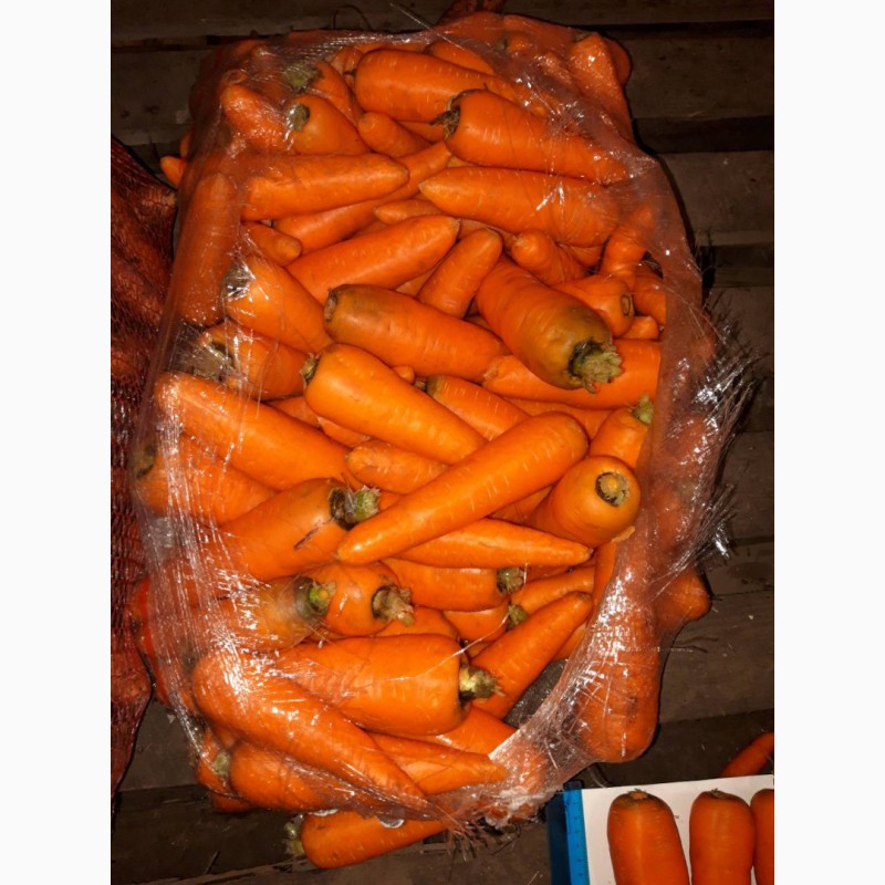 Фото 2. Продаем - Морковь мытая, 15-25 см, пакет 20кг, Россия