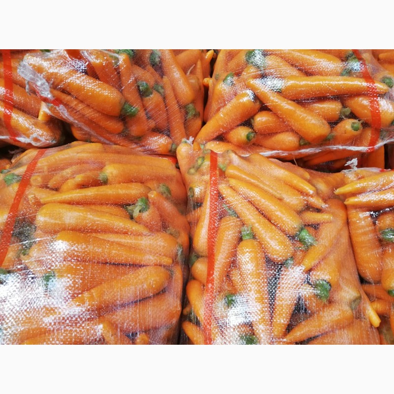 Фото 3. Продаем - Морковь мытая, 15-25 см, пакет 20кг, Россия