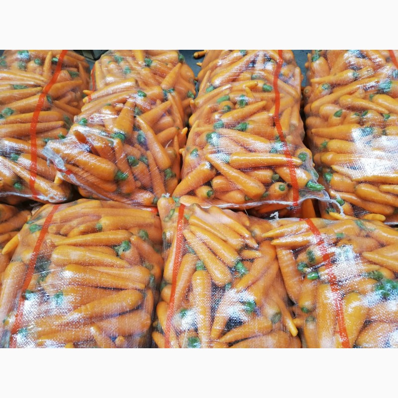 Фото 4. Продаем - Морковь мытая, 15-25 см, пакет 20кг, Россия