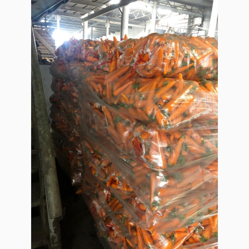 Фото 5. Продаем - Морковь мытая, 15-25 см, пакет 20кг, Россия