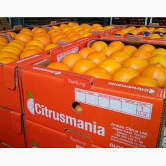 Апельсины от производителя, Турция