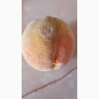 Персики из Крыма