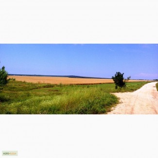 73 гектар в Крыму с возможностью расширения до 105 гектар (10 км от Черного Моря)