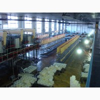 Сыр плавленый «Угличский деликатес» продажа оптом со склада завода- производителя