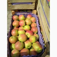 Яблоки от производителя Молдавия