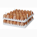 Инкубационное яйцо кросса Арбор Эйкрз Arbor Acres, Кобб 500, Росс 308