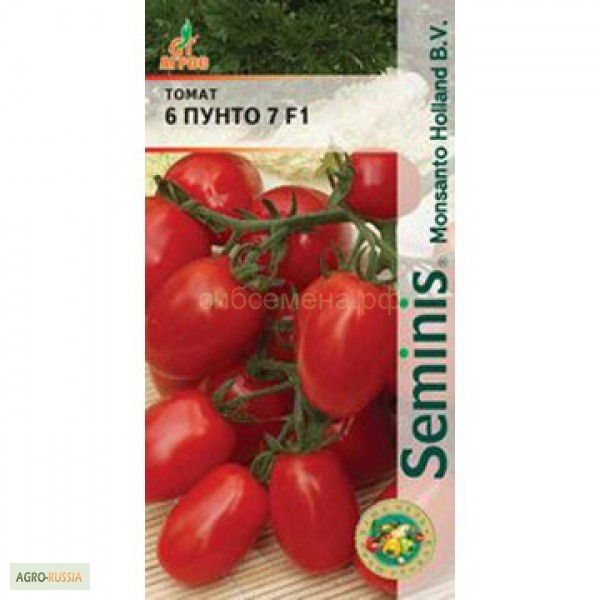 Фото 2. Семена томатов для теплицы