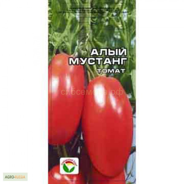 Фото 3. Семена томатов для теплицы