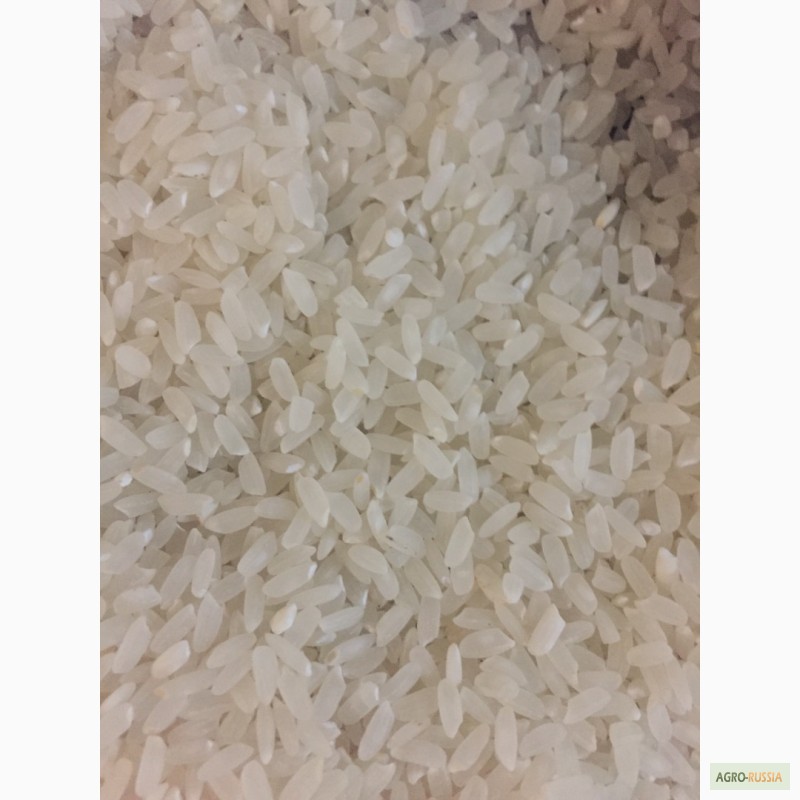 Фото 3. Продам рис