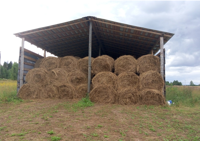 Фото 3. Продам сено, сенаж, урожай 2018 года