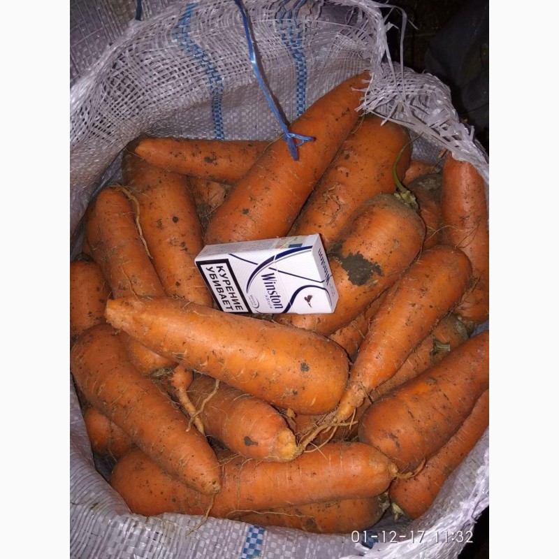 Фото 2. Продам морковь оптом