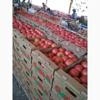 Помидоры (томаты) Пинк Парадайз калиброванные оптом от тепличного хозяйства