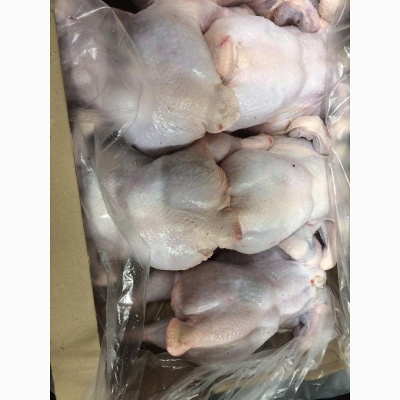 Фото 3. Курица ЦБ калибр 1, 5-1, 8 кг ф/п, вся разделка (части), субпродукты охл/зам на скл М