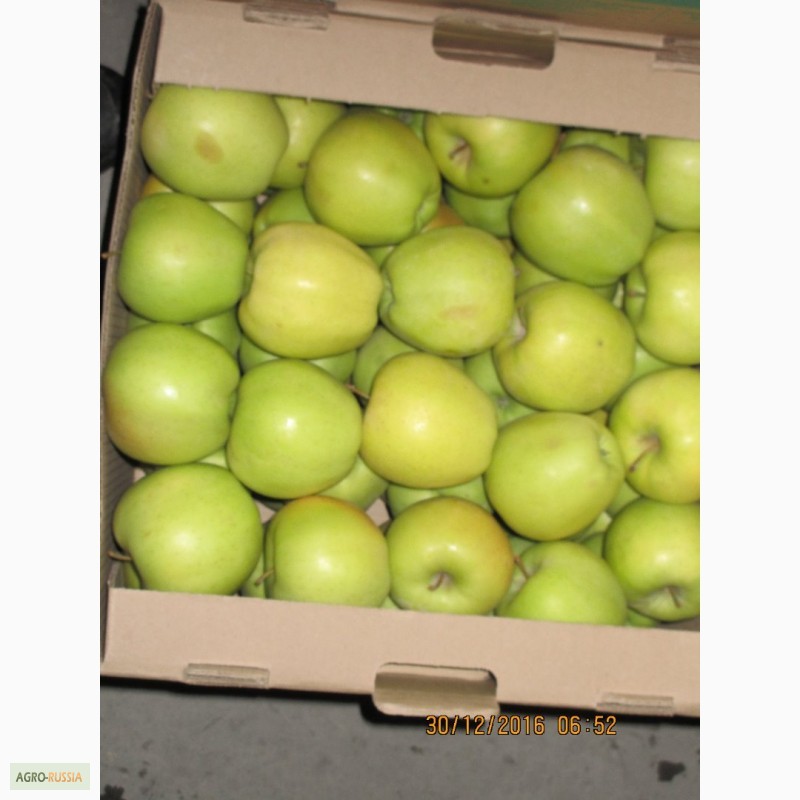 Фото 10. ООО Сад-Гигант продает Российские яблоки