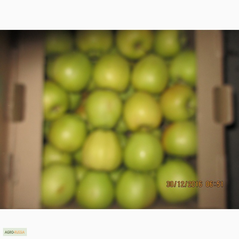 Фото 11. ООО Сад-Гигант продает Российские яблоки
