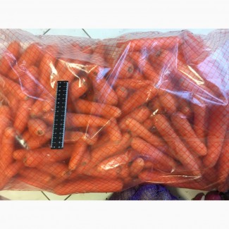 Морковь мытую оптом