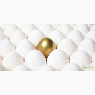 Яйцо куриное диетическое CO-C1-C2-CB++( бел+кор) Деревенское