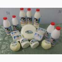 Йогурт оптом от производителя