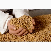Семена сои ABEE нано трансгенный сорт ГМО