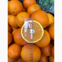 Продам апельсины свежие