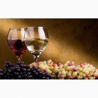 Предлагаем к приобретению оптом винный виноград кристалл белый