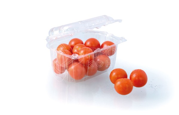 Фото 18. Продам контейнер для овощей, ягод, грибов и фруктов