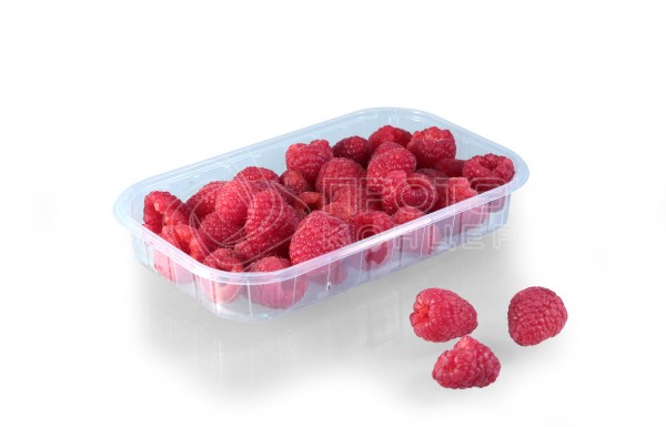 Фото 19. Продам контейнер для овощей, ягод, грибов и фруктов