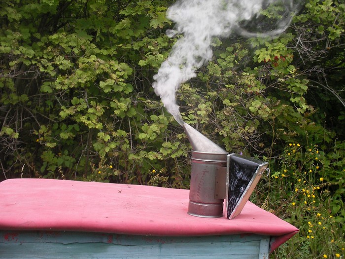 Фото 2. Продам настойку восковой моли - огнёвки пчелинной. 12%. ПЖВМ