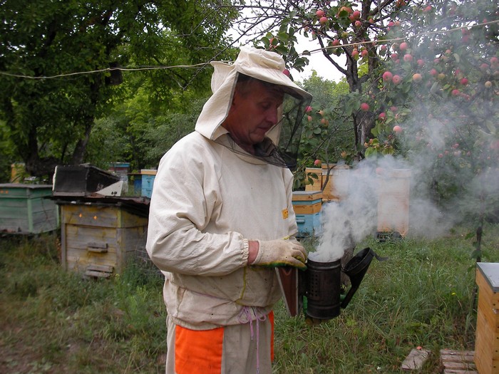 Фото 5. Продам настойку восковой моли - огнёвки пчелинной. 12%. ПЖВМ