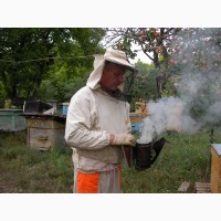 Продам настойку восковой моли - огнёвки пчелинной. 12%. ПЖВМ