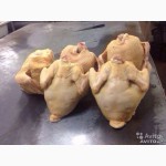 Реализуем охлажденное мясо домашней птицы, халяль