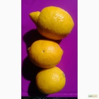 Экзотические фрукты, томаты, лимон