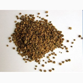 Семена свеклы (сорта: Мондоро, Калигула, Соппоро)