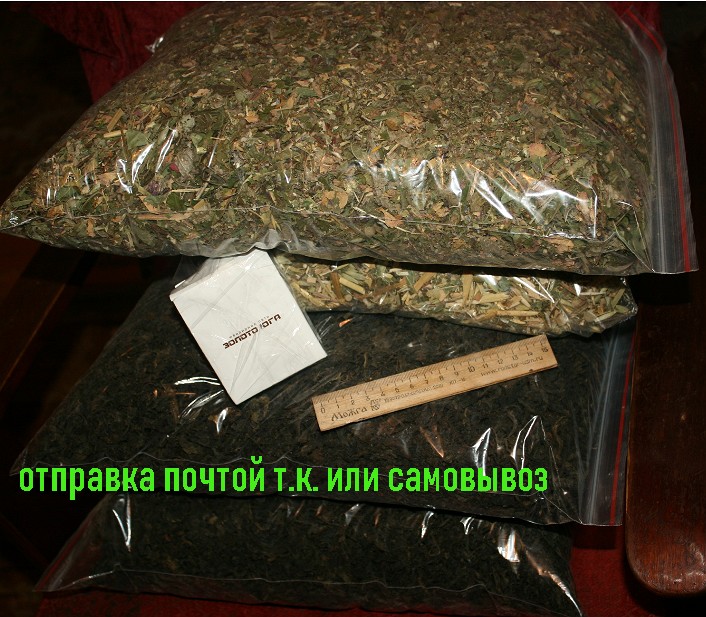 Фото 11. Куплю лекарственные растения в Апшеронске сырыми