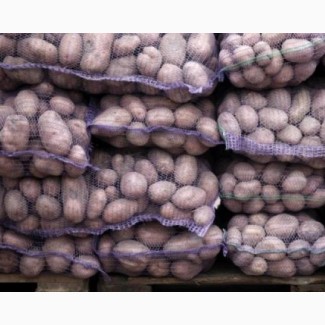 Картофель оптом с фермерского склада в Оренбурге