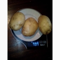 Картофель калиброванный, урожай 2021 года